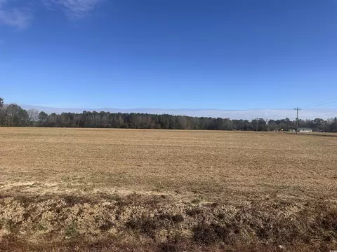 SElvington Rd., Nichols, SC 29581