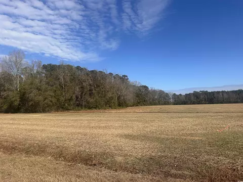 SElvington Rd., Nichols, SC 29581