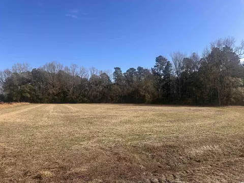 SElvington Rd., Nichols, SC 29581