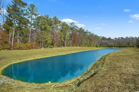 View/Area - 211 Pine Forest Dr, Conway, SC 29526 photo 1 of 1