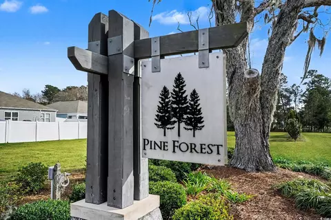 Other - 211 Pine Forest Dr, Conway, SC 29526 photo 8 of 8