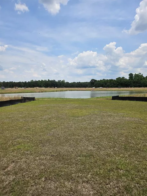 View/Area - 170 River Birch Dr, Loris, SC 29569 photo 3 of 3