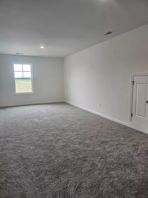 Other - 170 River Birch Dr, Loris, SC 29569 photo 5 of 9