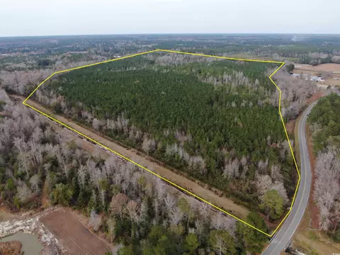 tbd Highway 746, Loris, SC 29569 photo 3