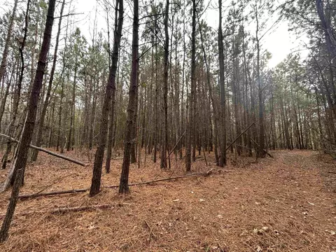 tbd Highway 746, Loris, SC 29569 photo 15