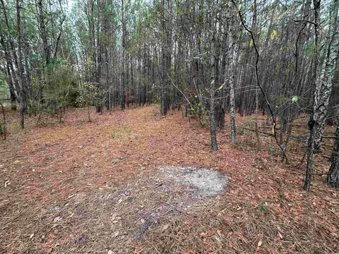 tbd Highway 746, Loris, SC 29569 photo 21