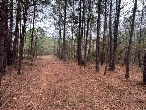 tbd Highway 746, Loris, SC 29569 photo 16