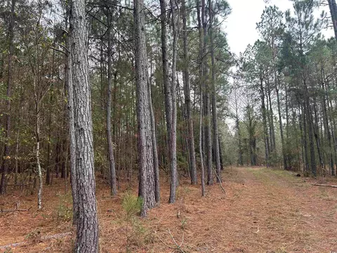 tbd Highway 746, Loris, SC 29569
