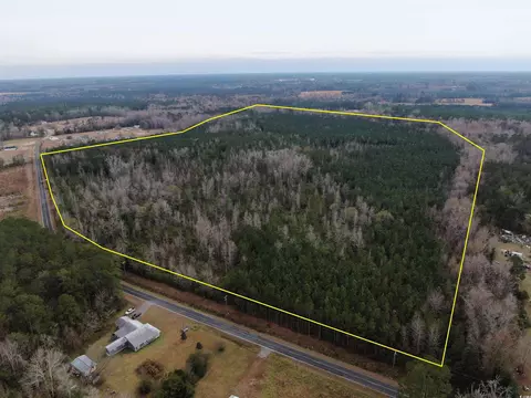 tbd Highway 746, Loris, SC 29569 photo 4