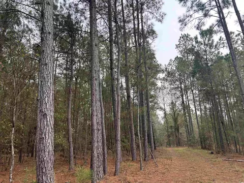 tbd Highway 746, Loris, SC 29569 photo 18