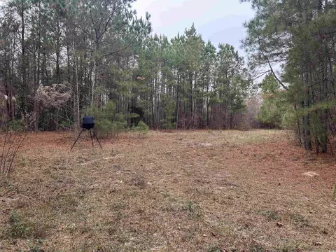 tbd Highway 746, Loris, SC 29569 photo 13
