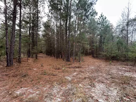tbd Highway 746, Loris, SC 29569 photo 17