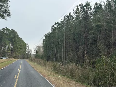 tbd Highway 746, Loris, SC 29569 photo 10
