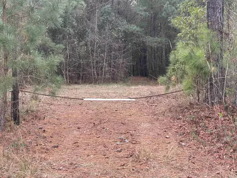 tbd Highway 746, Loris, SC 29569 photo 22