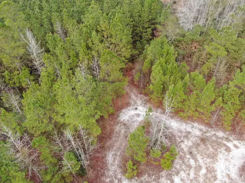 tbd Highway 746, Loris, SC 29569 photo 23