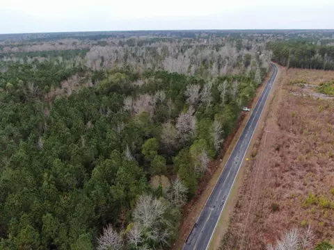 tbd Highway 746, Loris, SC 29569 photo 9