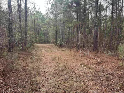 tbd Highway 746, Loris, SC 29569 photo 12