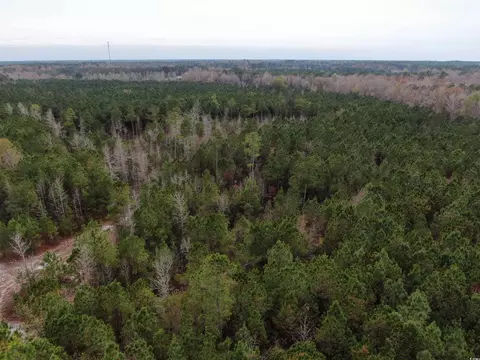 tbd Highway 746, Loris, SC 29569 photo 8