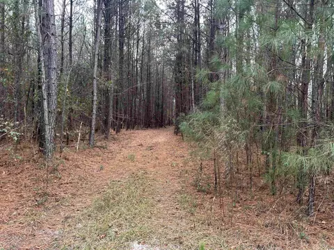 tbd Highway 746, Loris, SC 29569 photo 14