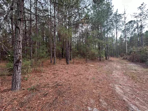 tbd Highway 746, Loris, SC 29569 photo 24