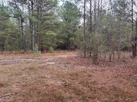tbd Highway 746, Loris, SC 29569 photo 20