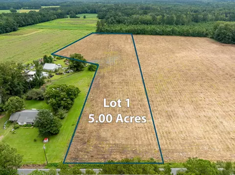 tbd Lot B1 Mount Olive Church Rd, Nichols, SC 29581