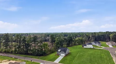 View/Area - 113 Cascade Dr, Conway, SC 29527 photo 3 of 3