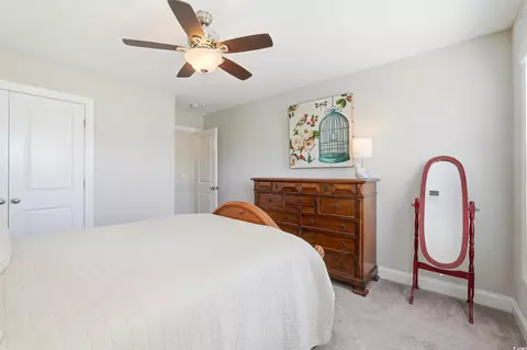 418 Hyacinth Loop, Murrells Inlet, SC 29576 photo 28