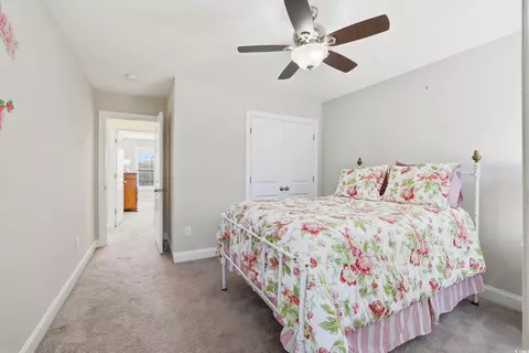 418 Hyacinth Loop, Murrells Inlet, SC 29576 photo 30