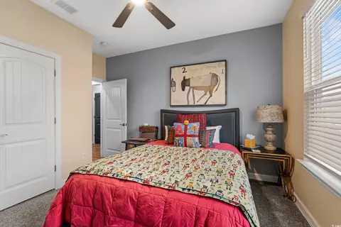259 Switchgrass Loop, Little River, SC 29566 photo 20