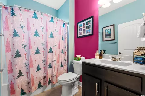 259 Switchgrass Loop, Little River, SC 29566 photo 21