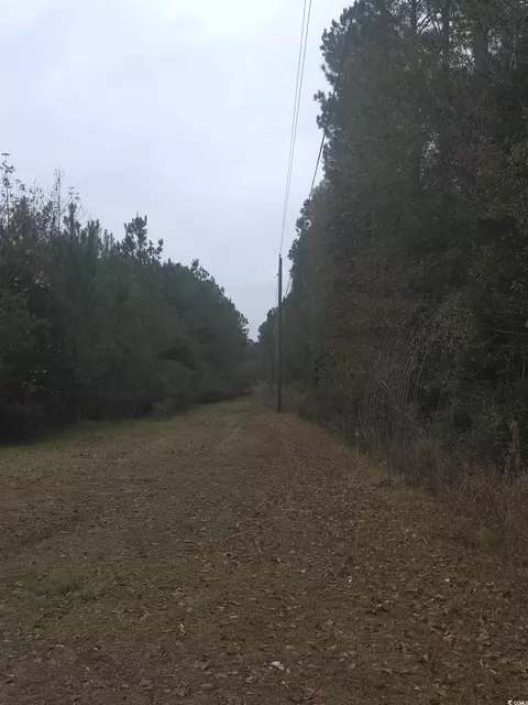 4339 Randall Rd, Conway, SC 29526 photo 1