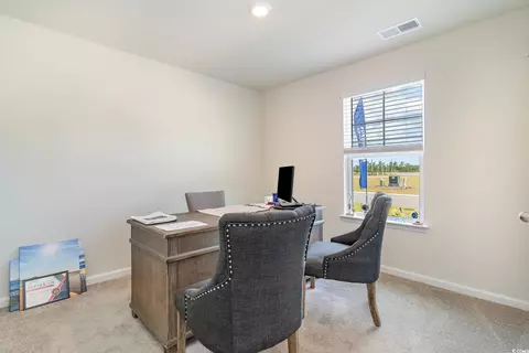 243 Teddy Bear Cir, Conway, SC 29526 photo 19