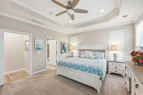 236 Switchgrass Loop, Little River, SC 29566 photo 26