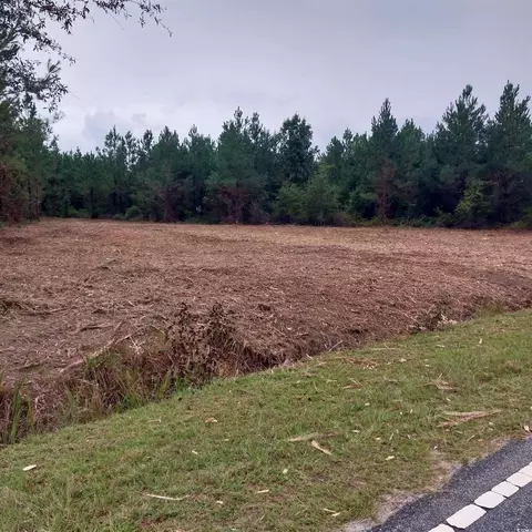 lot7 8 Harper Rd, Marion, SC 29571