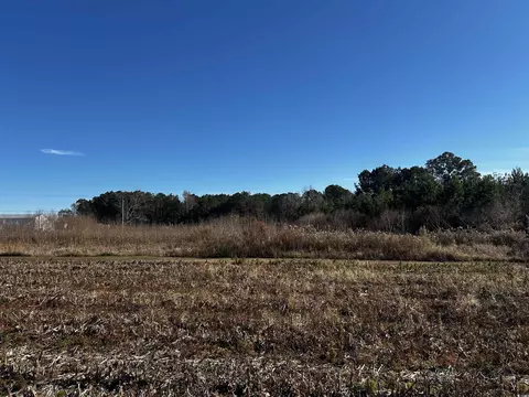 1 70acres-tbd West Dogwood Rd, Loris, SC 29569