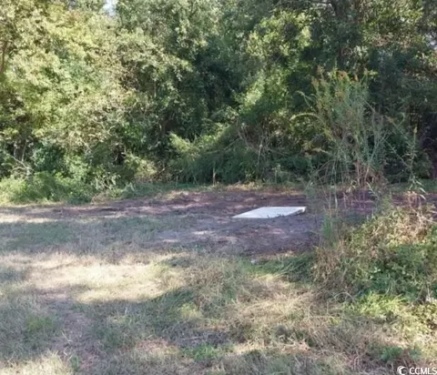 lot1 Davis Ln, Mullins, SC 29574