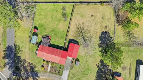 View/Area - 20338 Choppee Rd, Hemingway, SC 29554 photo 2 of 5