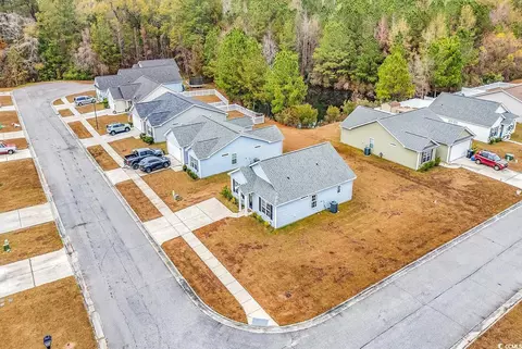 View/Area - 82 Desurrency Ct, Georgetown, SC 29440 photo 4 of 4
