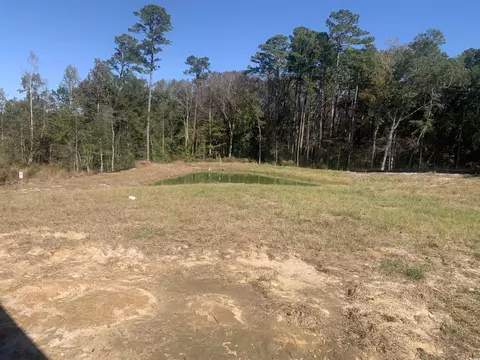 Other - 122 Cascade Dr, Conway, SC 29527 photo 3 of 4