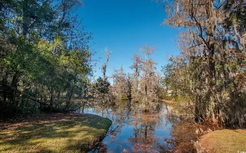 View/Area - 27 Pheasant Loop #293, Georgetown, SC 29440 photo 1 of 3