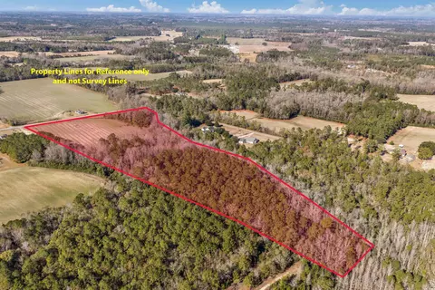 7557 E Highway 19, Loris, SC 29569 photo 15