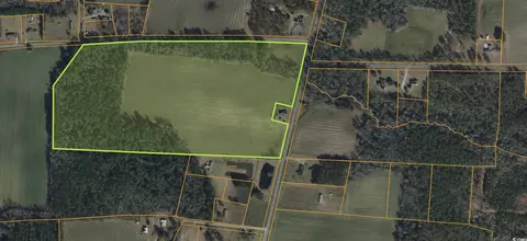 7557 E Highway 19, Loris, SC 29569 photo 2