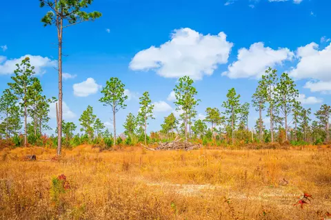 2820 Scarbrough Dr, Loris, SC 29569 photo 11