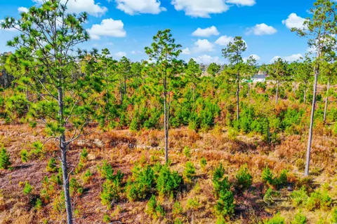 2820 Scarbrough Dr, Loris, SC 29569 photo 23