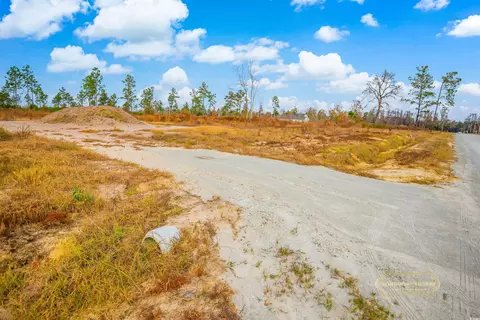 2820 Scarbrough Dr, Loris, SC 29569 photo 5