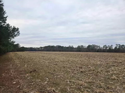 tbd 38ac Cart Rd, Pamplico, SC 29583