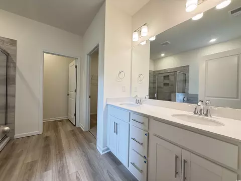 252 Palmetto Sand Loop, Conway, SC 29527 photo 10