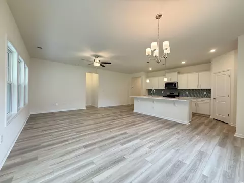 252 Palmetto Sand Loop, Conway, SC 29527 photo 4