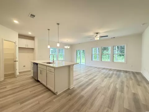 252 Palmetto Sand Loop, Conway, SC 29527 photo 3